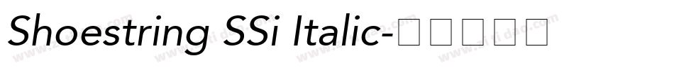 Shoestring SSi Italic字体转换